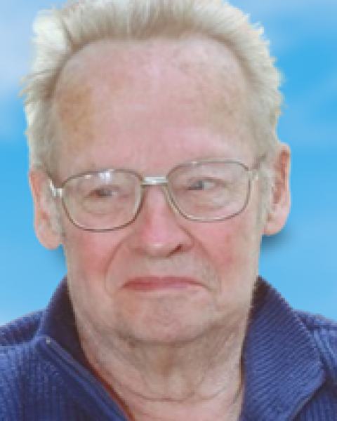 Amaury Slingeneijer de Goeswin