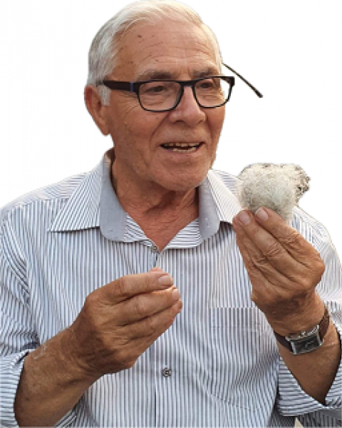 Salvatore SAETTA